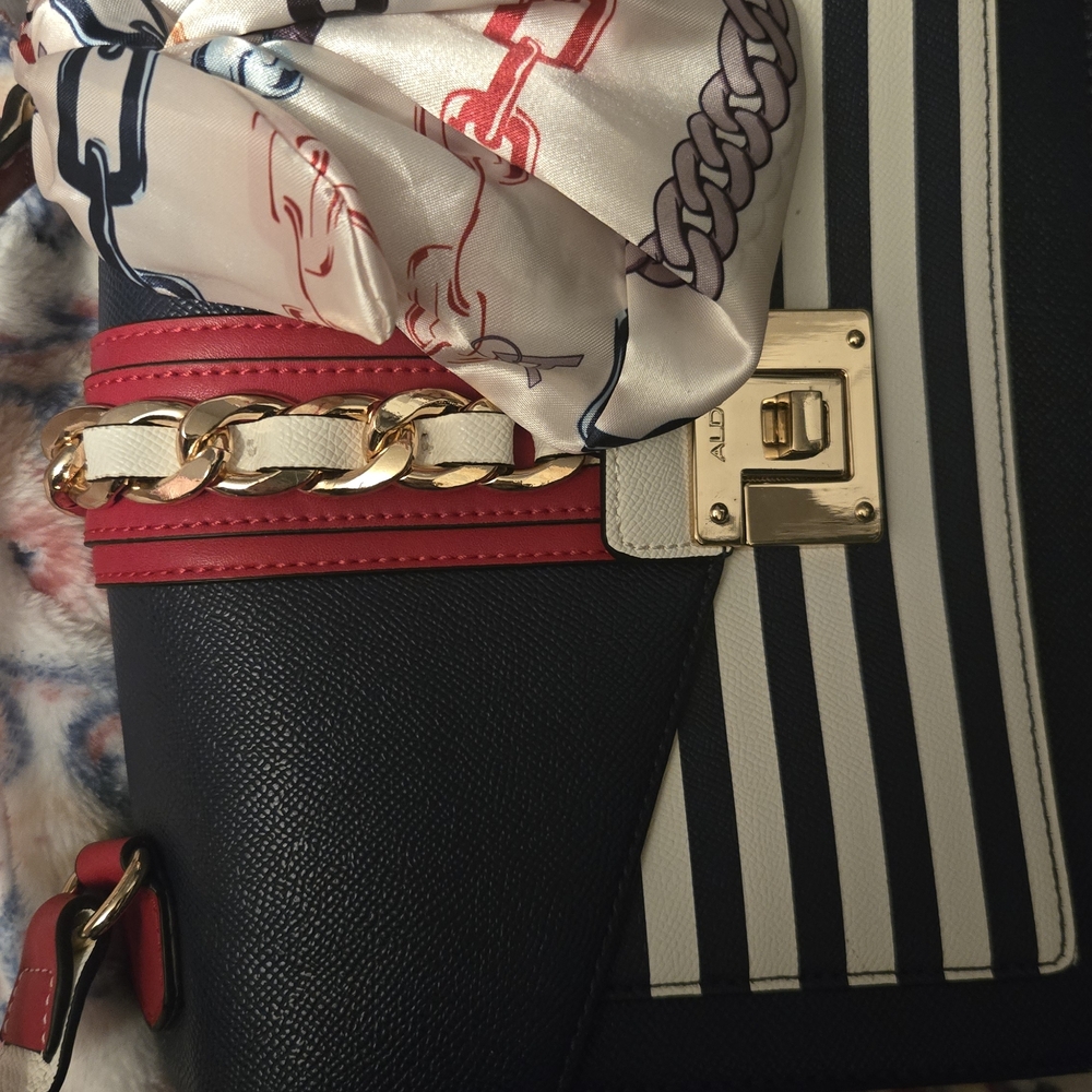 Aldo Striped Handbag